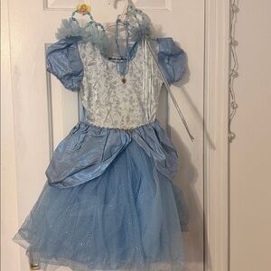 Disney Cinderella Silver and Blue Dress